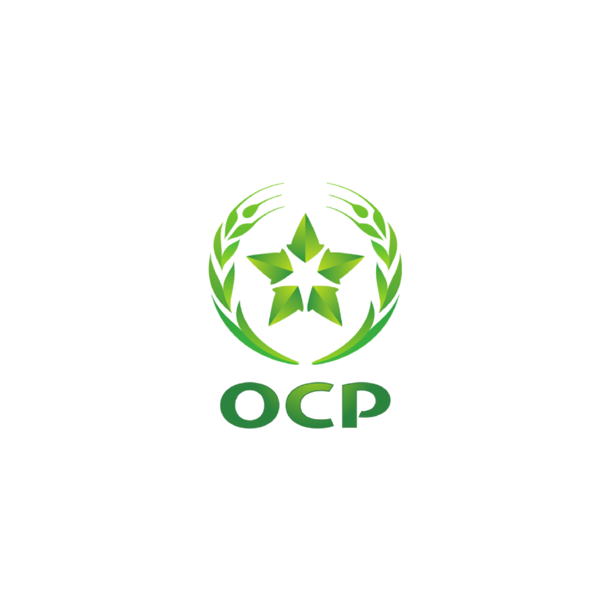 OCP Group - Office Chérifien des Phosphates Group